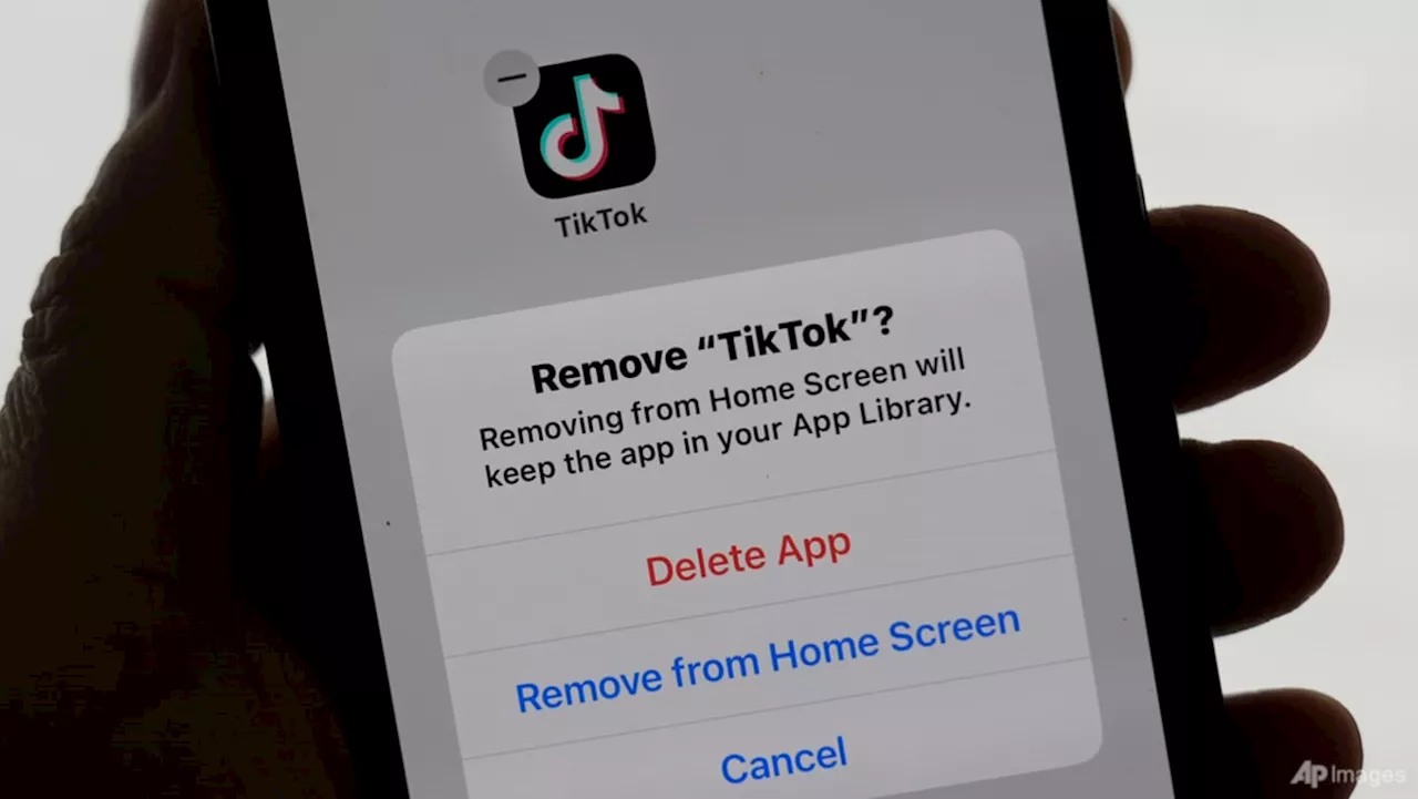 Trump says he may give TikTok a 90-day reprieve on Monday