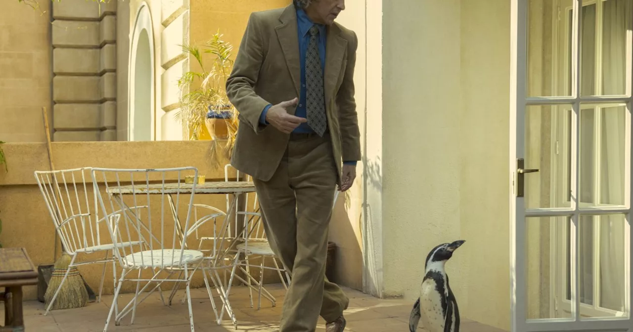 The Penguin Lessons: Steve Coogan to Star in True Story Adaptation