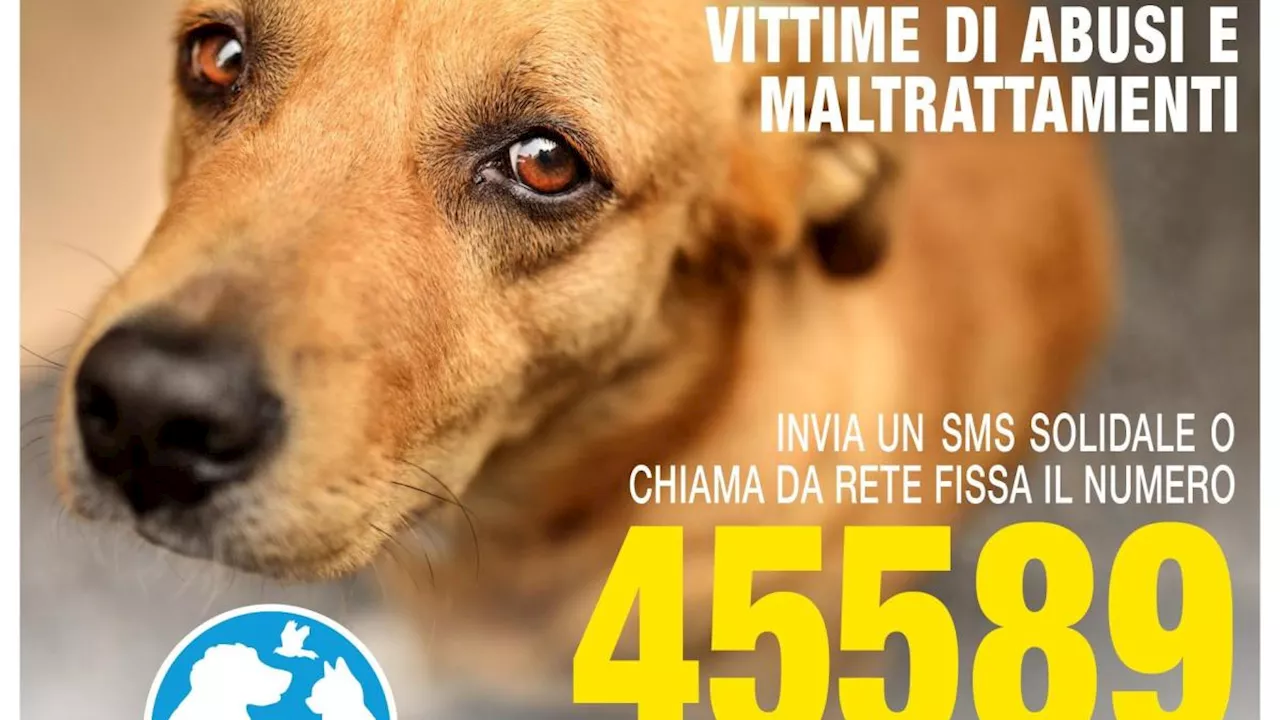 Muti e indifesi: la Lega italiana per la difesa degli animali lancia una campagna di sensibilizzazione