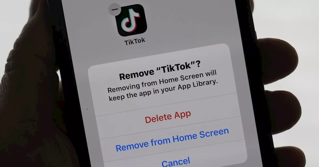 Trump Likely to Grant TikTok 90-Day Extension