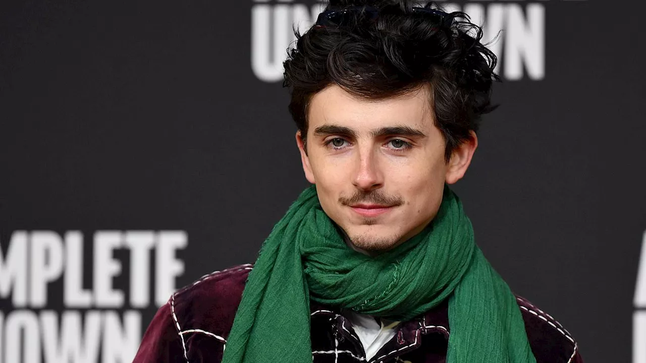 Timothée Chalamet dazzles in an eye-catching emerald scarf at Italy premiere of A Complete Unknown...