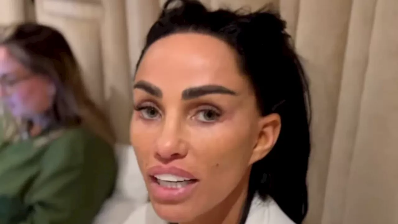 Katie Price Admits to Breaking New Year's Resolution and Introduces 'Three Newborns'