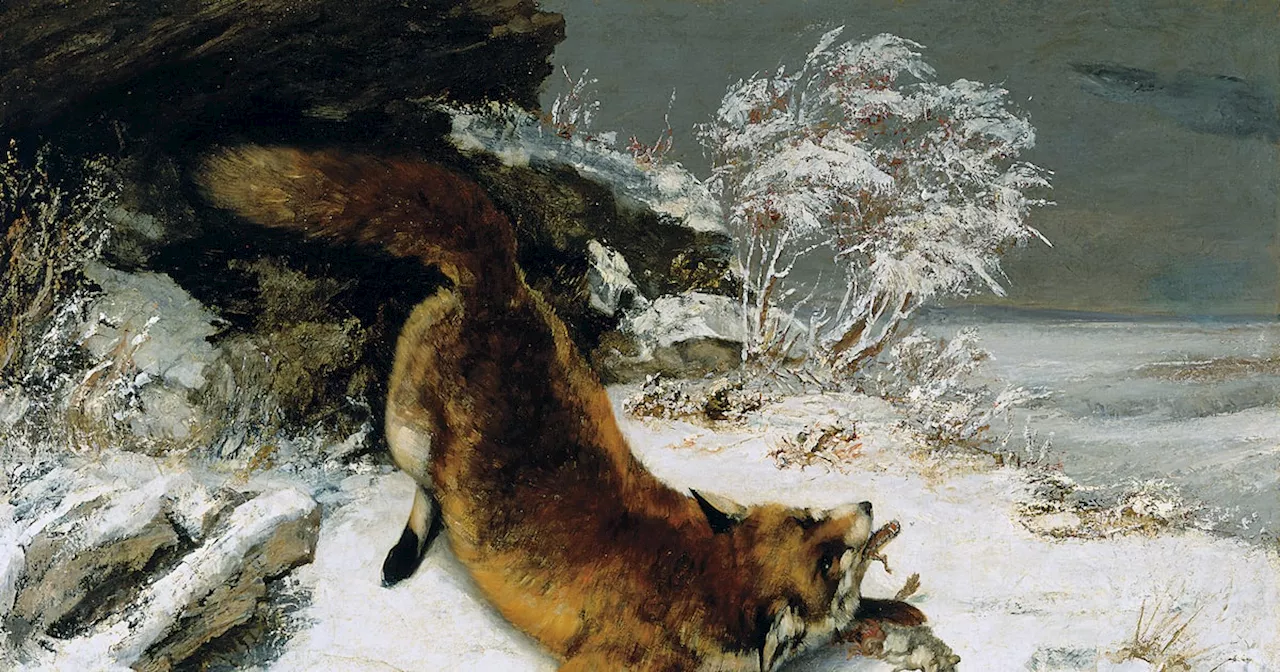 Christopher de Vinck: The hidden beauty of a fox at the Dallas Museum of Art