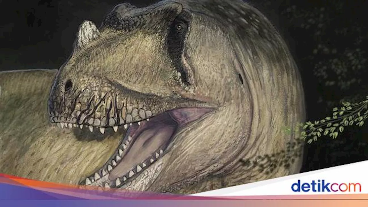 Fosil Dinosaurus Raksasa yang Musnah pada Perang Dunia II