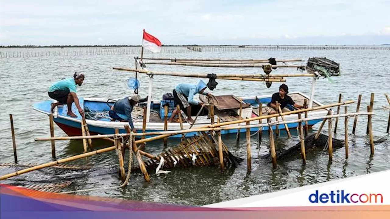 Akhirnya Pagar Misterius 30 Km di Laut Tangerang Dibongkar!