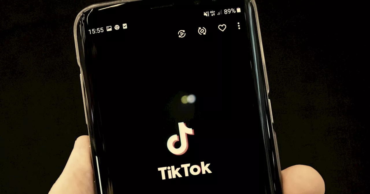 TikTok Faces US Shutdown Unless Biden Administration Intervenes