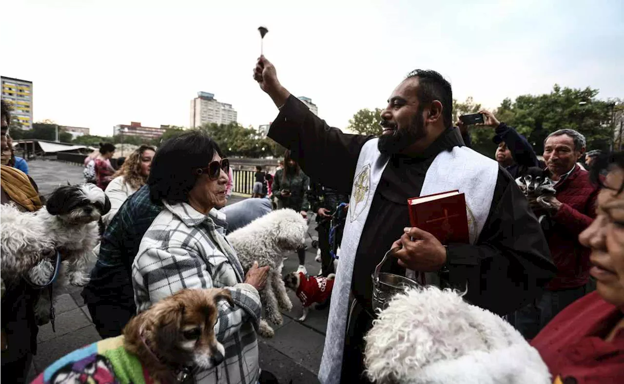 FOTOS Bendicen lomitos, michis, conejos y hasta gallinas por San Antonio Abad; “son parte de nuestras vidas”, explican