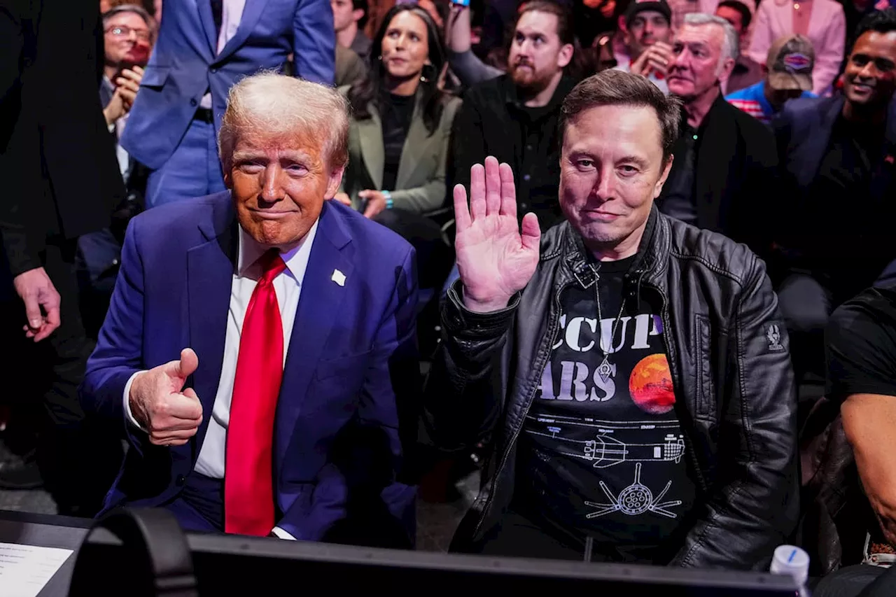 Europa frente a la explosiva pareja Trump-Musk