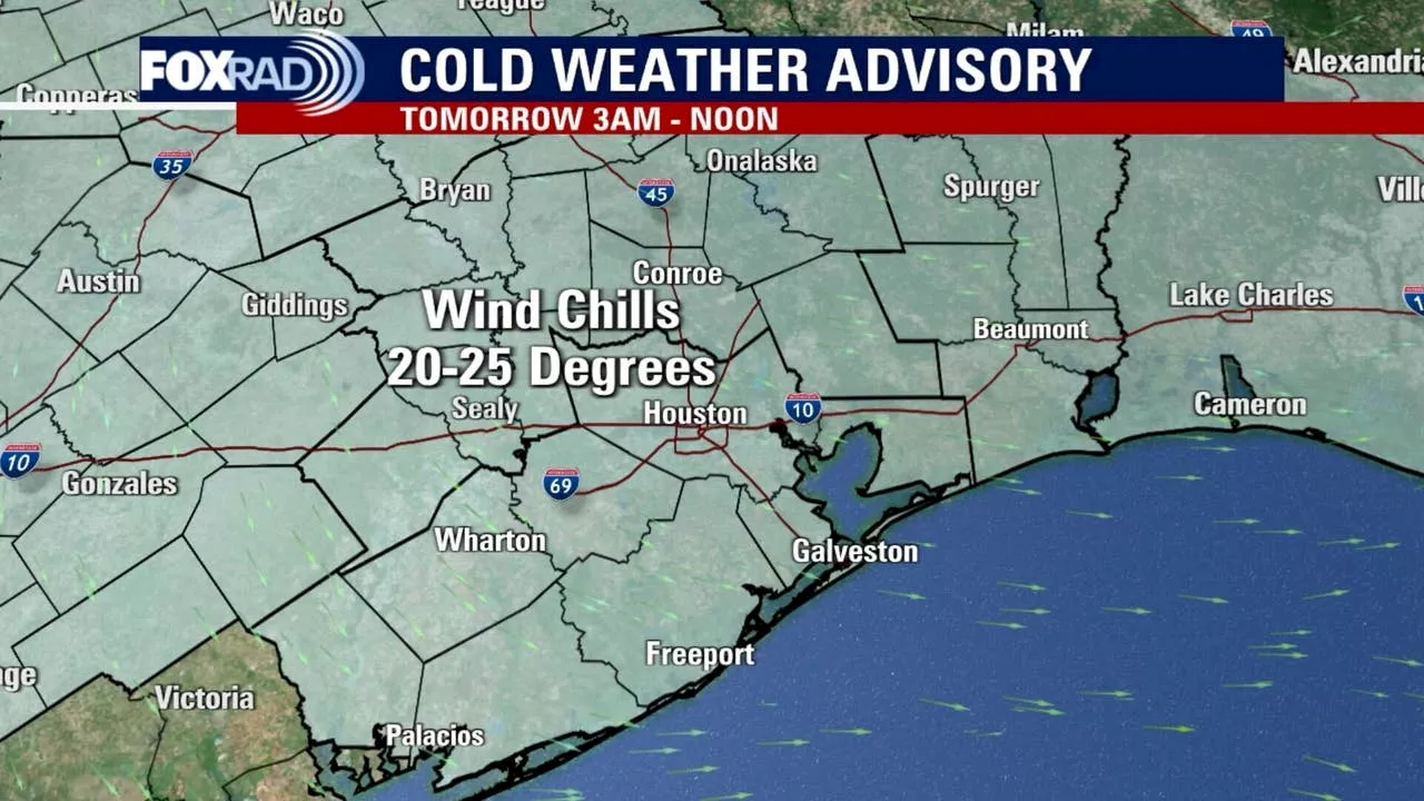 Houston Braces for Arctic Blast: Snow, Ice, and Hazardous Travel Conditions Expected