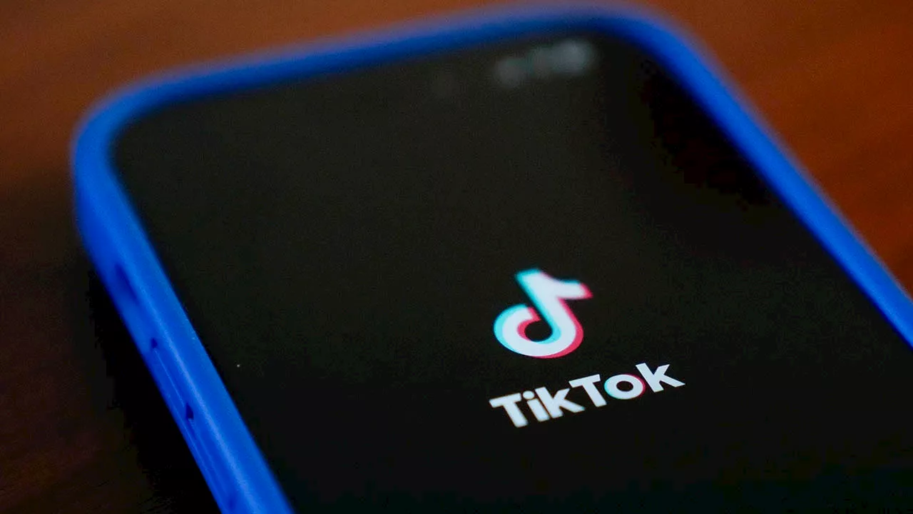 TikTok Threatens to 'Go Dark' Unless Biden Administration Provides Clarity on Ban