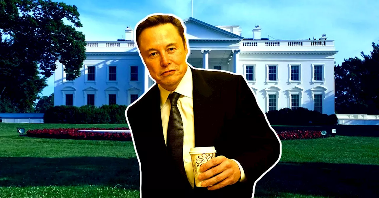 Elon Musk to Move into White House Complex, Joining Trump's 'Department of Government Efficiency'