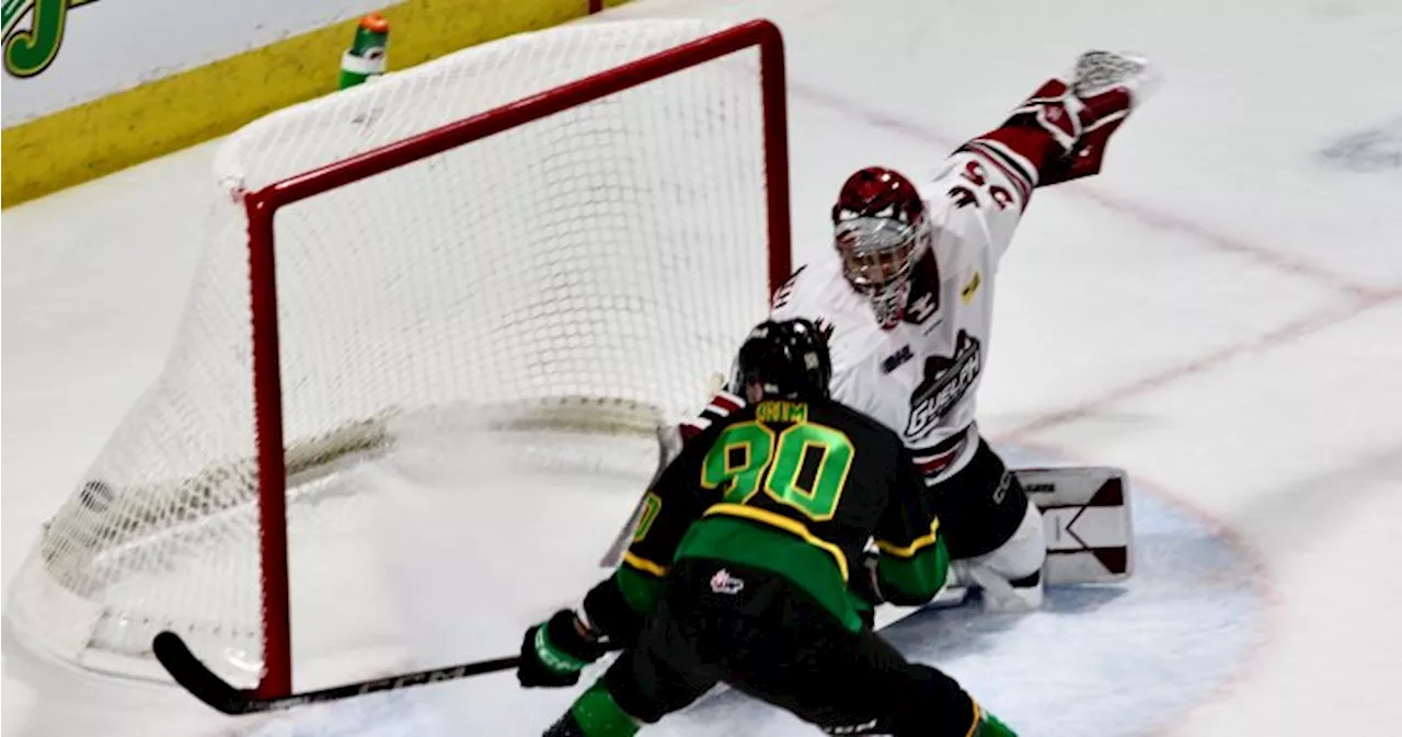 London Knights blank Guelph as Medvedev earns 2nd career shutout