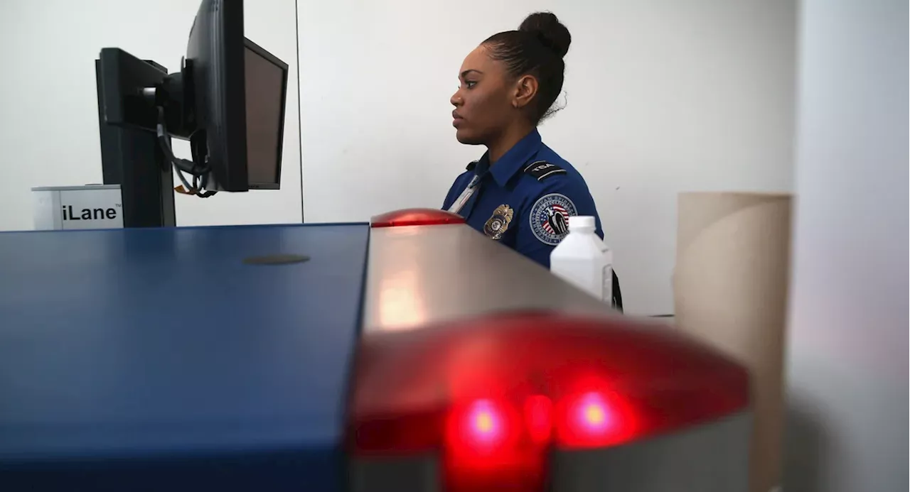 TSA agents seized fewer guns at NYC-area airport checkpoints in 2024