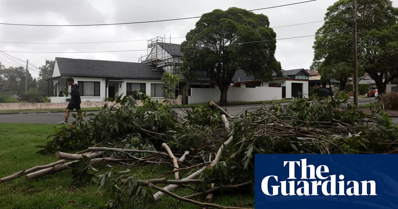 Wild NSW weather expected to ease as WA’s Pilbara region braces for cyclone