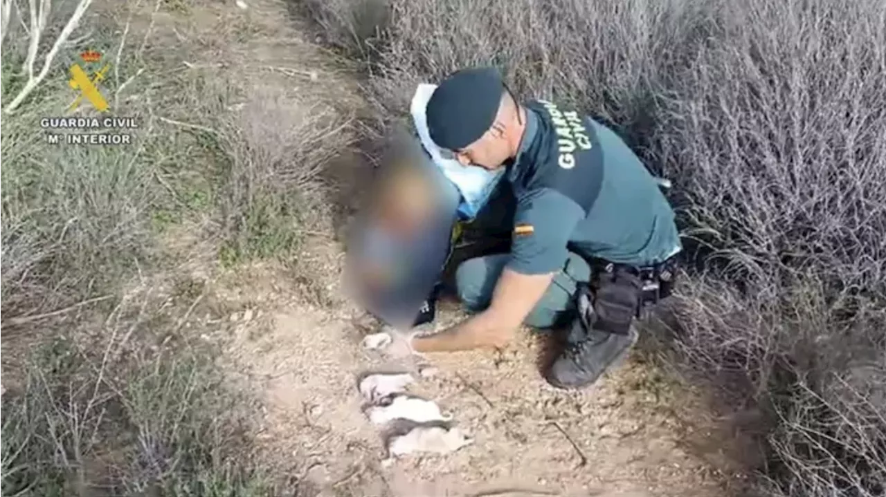 Investigado por abandonar seis cachorros en el dentro de un saco de pienso en Almería