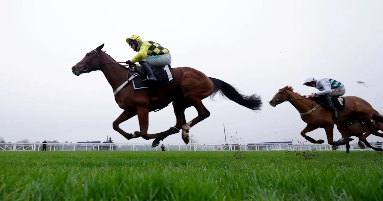 Cheltenham Festival favourite's odds cut after impressive win on stable debut