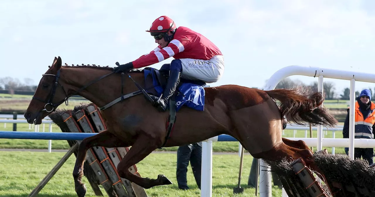 Blood Destiny Paul Townend’s pick for Grade Two Thurles highlight