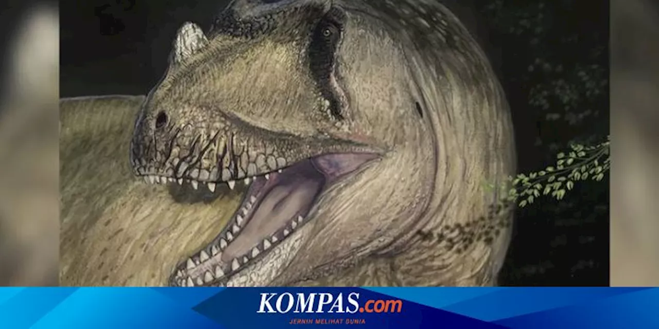 Dinosaurus Raksasa dari Mesir Ternyata Spesies Baru