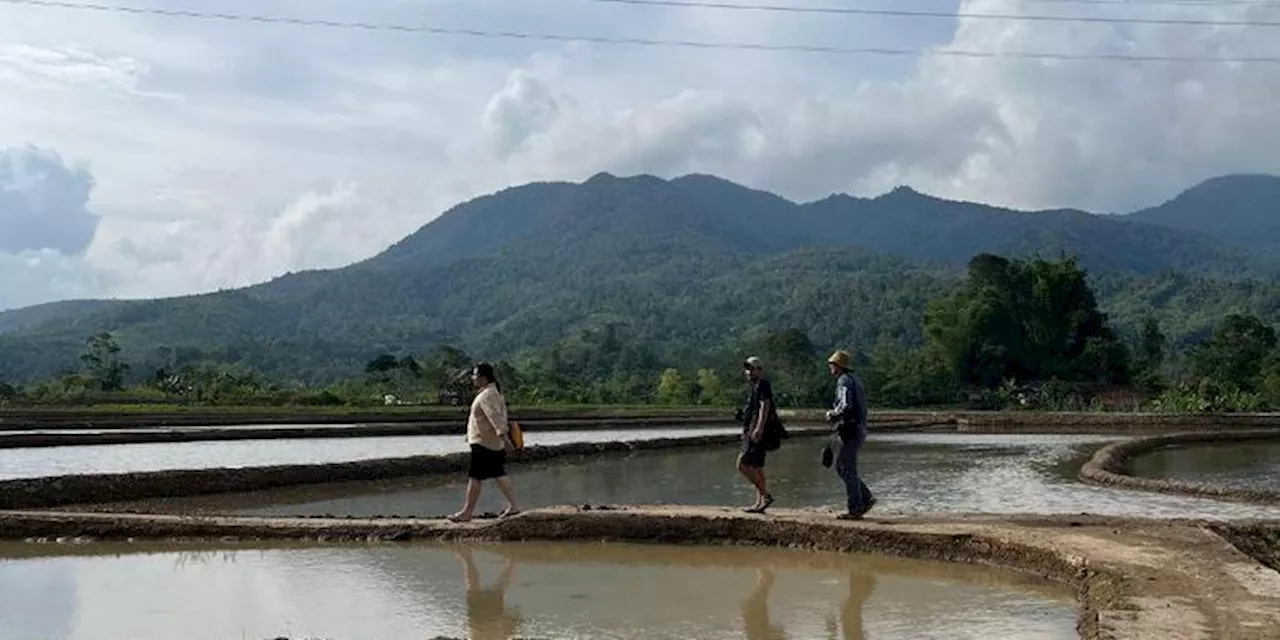 Tunggu Tubang: 'Mother Earth' Pangan Keberlanjutan Masyarakat Suku Semende Sumsel