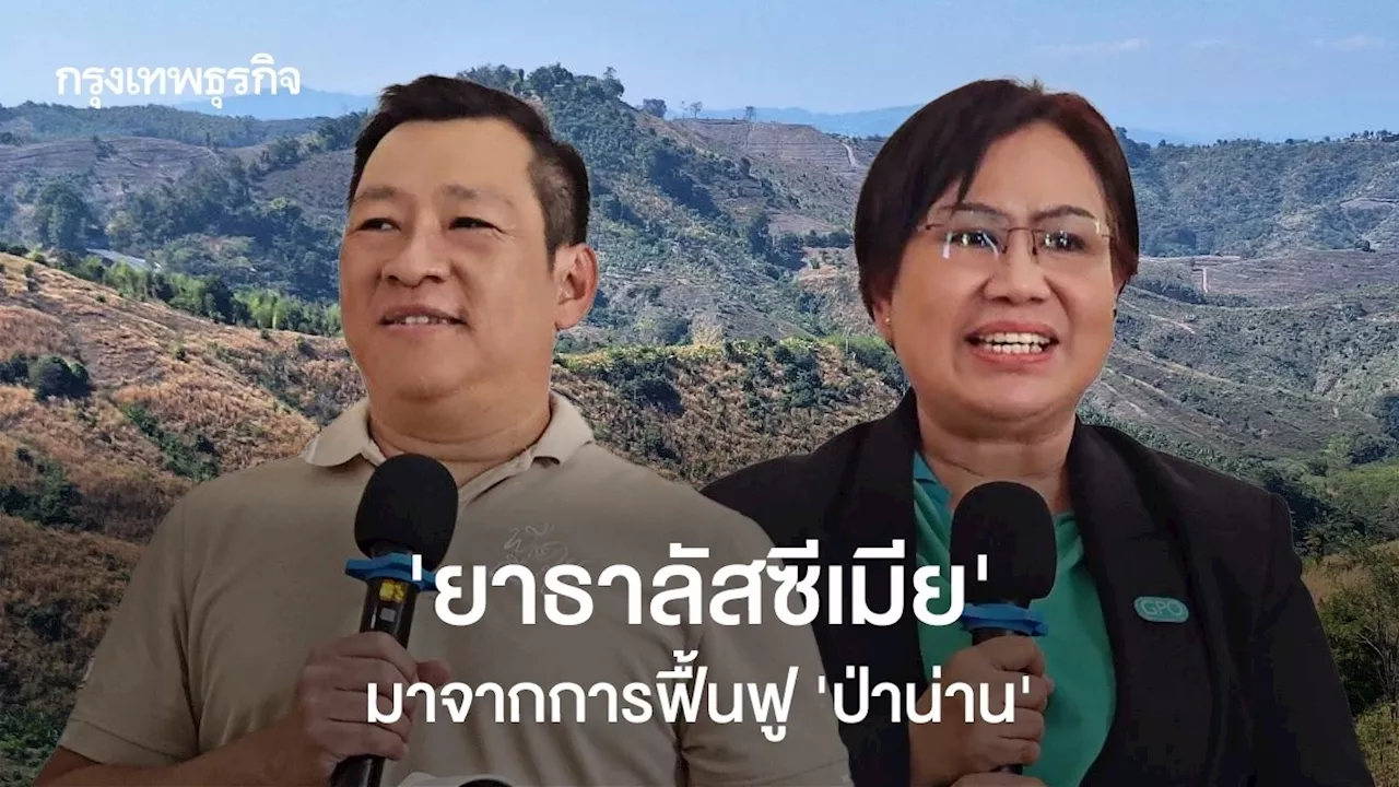 'ยาธาลัสซีเมีย' วัตถุดิบจากฟื้นฟู 'ป่าน่าน' ทำ 1 ไร่ รายได้เท่าข้าวโพด 50 ไร่