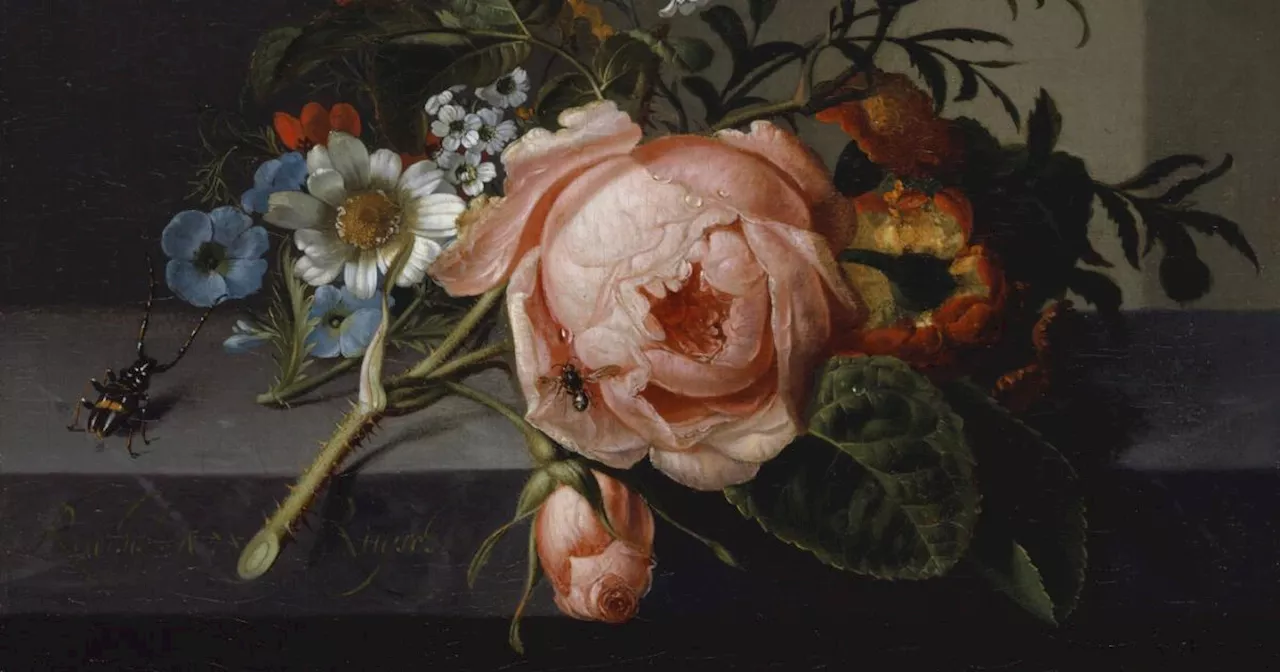 Die Malerin Rachel Ruysch und die Schönheit des Wissensdursts