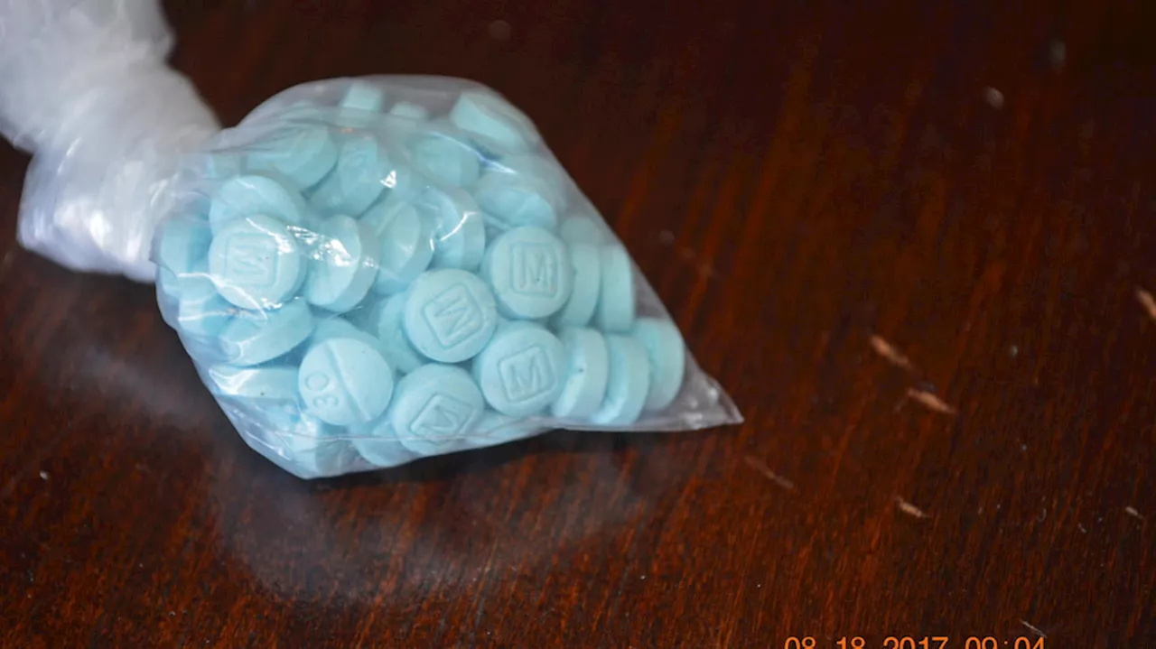 Man Arrested After 12,000 Fentanyl Pills Found in Utah Home