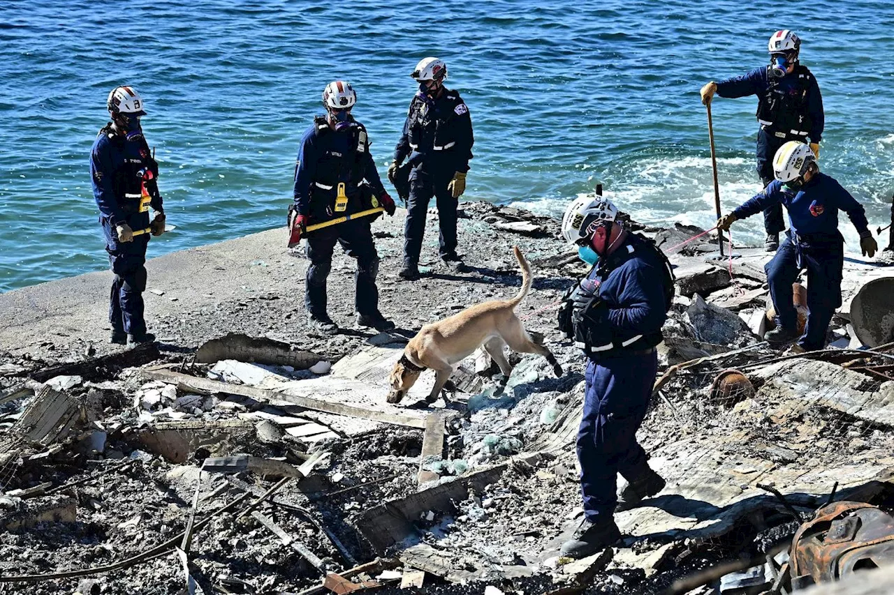 Les chiens soulagent les secouristes des incendies de Los Angeles