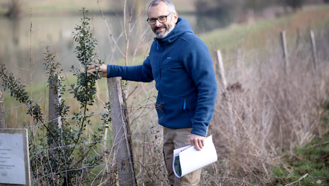 L'agroforesterie, un gage de bien-être animal et de durabilité pour l'exploitation de Vincent