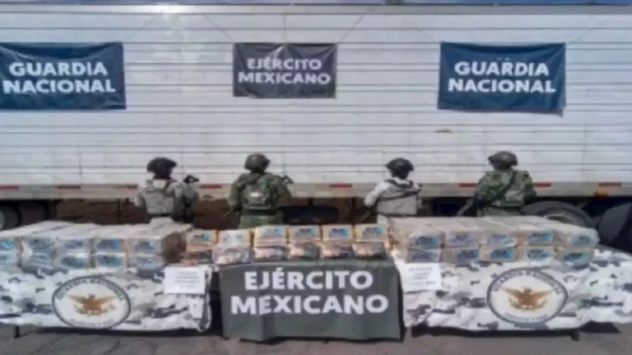 Autoridades Aseguran Más de 300 Kilos de Cocaína y Cristal en Celaya