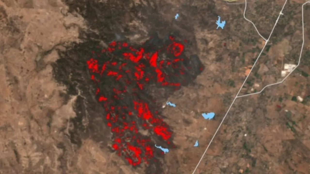 Mega incendio forestal devora 14,500 hectáreas en San Felipe