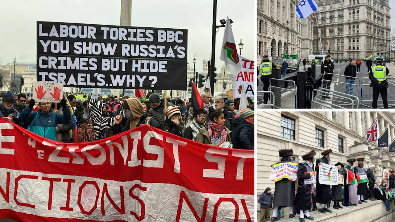 Eight Arrested at Pro-Palestine Protest in Central London