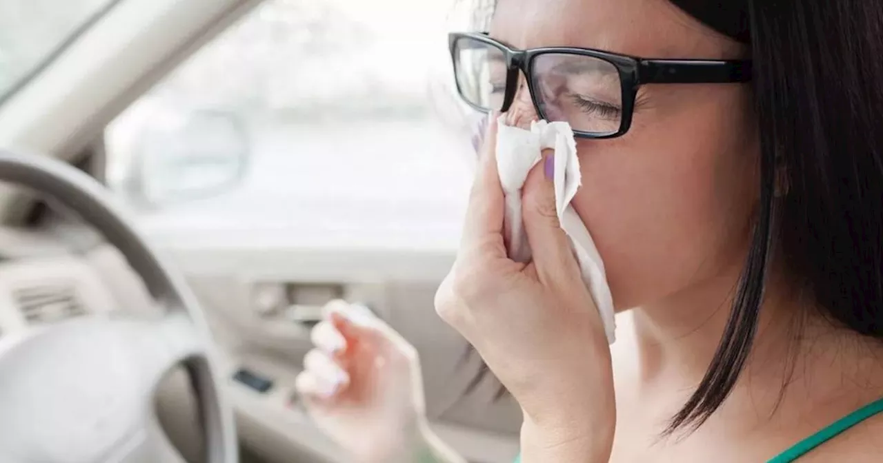 Birmingham Drivers Face Fines For Sneezing Behind The Wheel