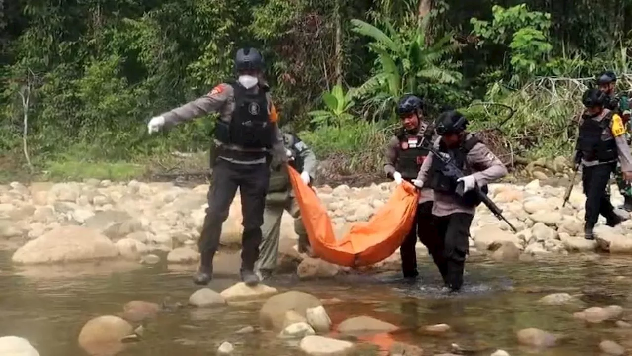 KKB Penembak Anggota Satgas Damai Cartenz Merupakan Kelompok Askel Mabel