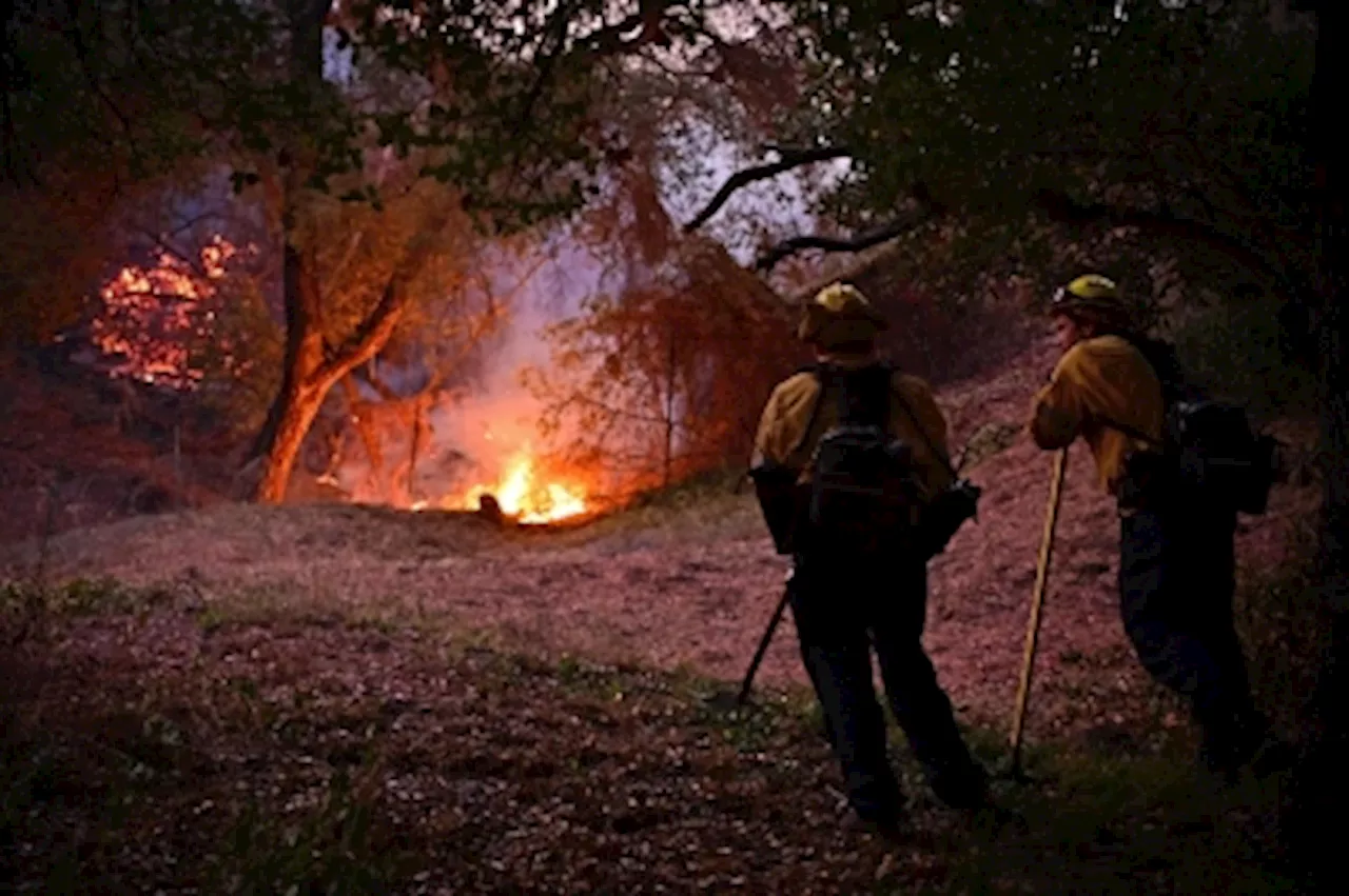 Satellites and AI lead charge in revolutionising wildfire detection and disaster prevention