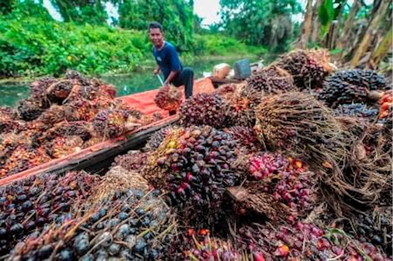 Indonesia Menang Sengketa Dagang CPO dan Biofuel dengan Uni Eropa