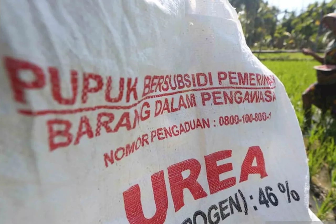 Pupuk Bersubsidi Dijual di Atas HET, Pupuk Indonesia Beri Sanksi