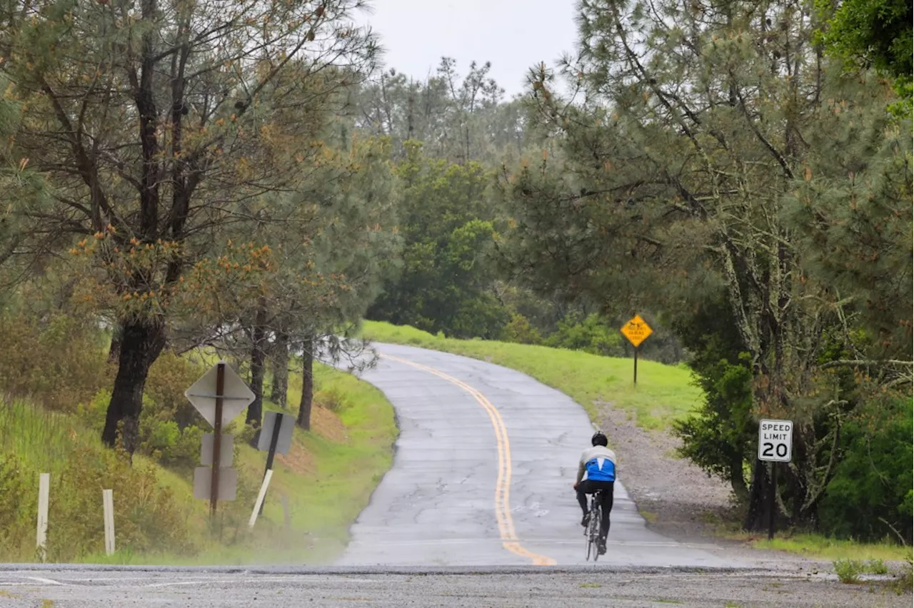 Danville Removes Two Bicycle Advocates From Commission Amidst Feud