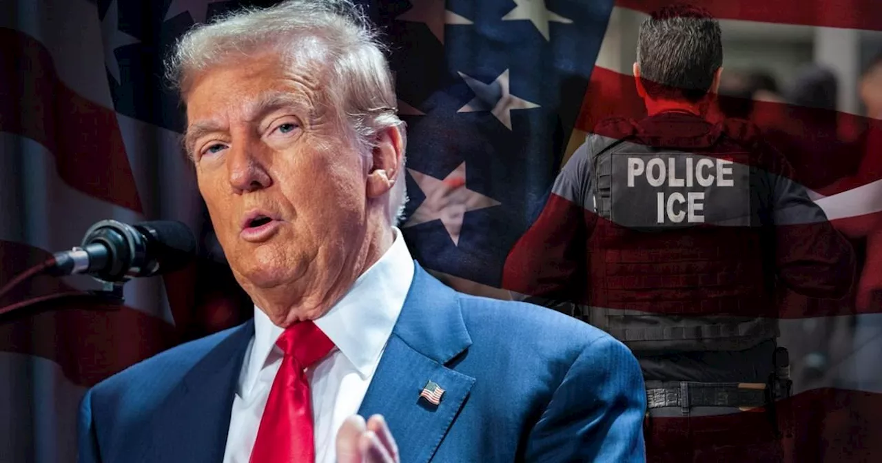 Donald Trump plans large immigration raids in major US cities