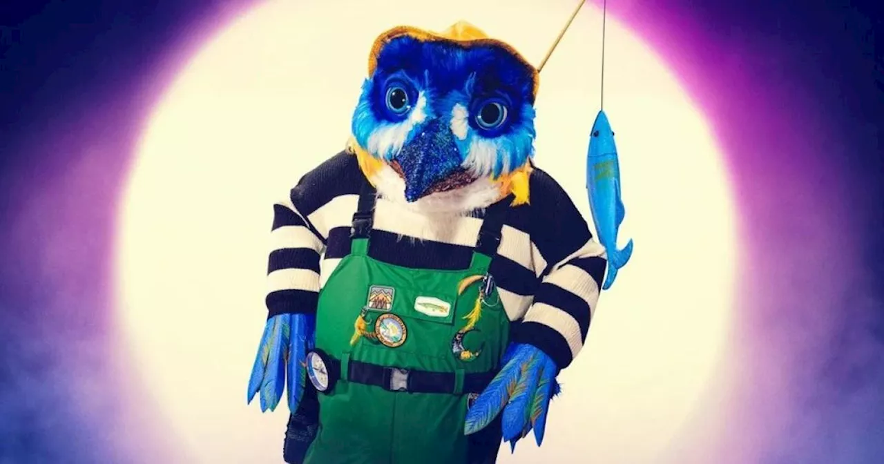 ‘Secret clues’ on Masked Singer UK Kingfisher’s costume might be biggest giveaway