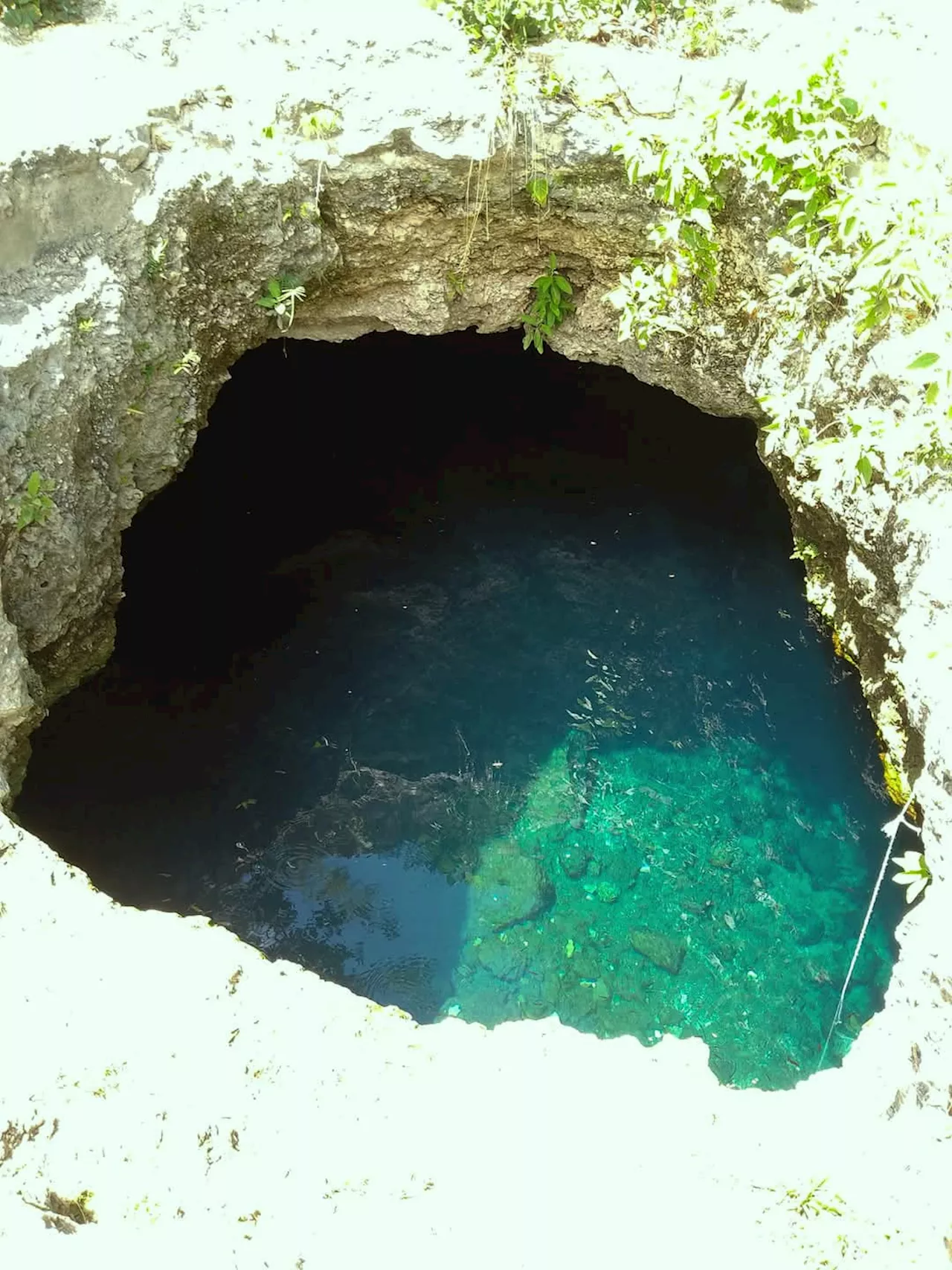 Estudiante universitario se mete a cenote de la UADY y muere dentro; escuela emite condolencia