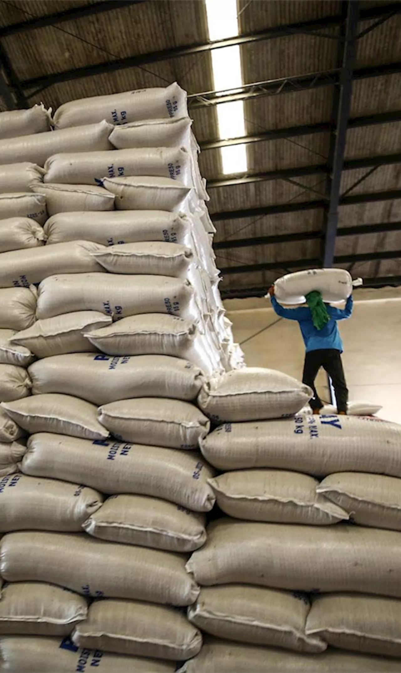 Food security emergency declaration likely on Jan. 22—Agri exec