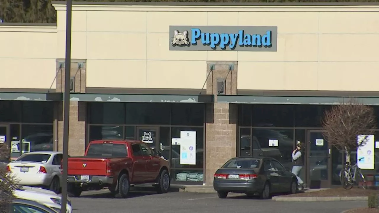 Puppyland Faces Penalties for Illegal Practices, National Park Fee Increases, and Other News