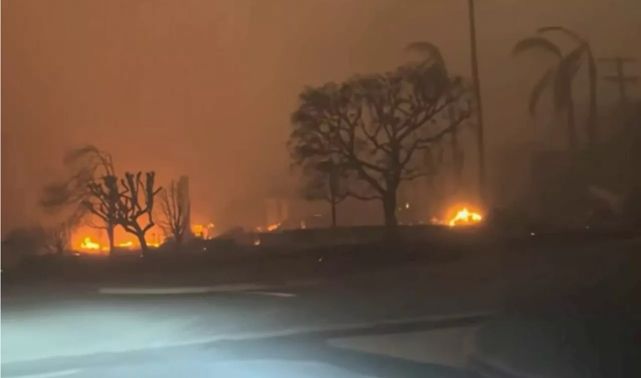 Pacific Palisades Man Documents Devastation of Childhood Home in Palisades Fire