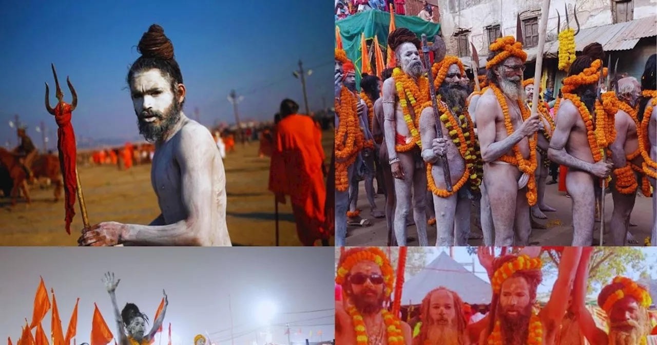 Mahakumbh 2025: भस्म की चादर, लंबी जटाएं, कुंभ के बाद कहां चले जाते हैं ये रहस्यमयी नागा साधु