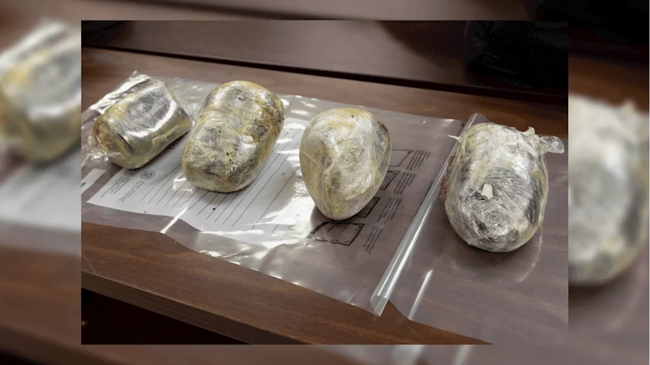 CBP Seizes Over $150,000 Worth of Heroin at Texas Border