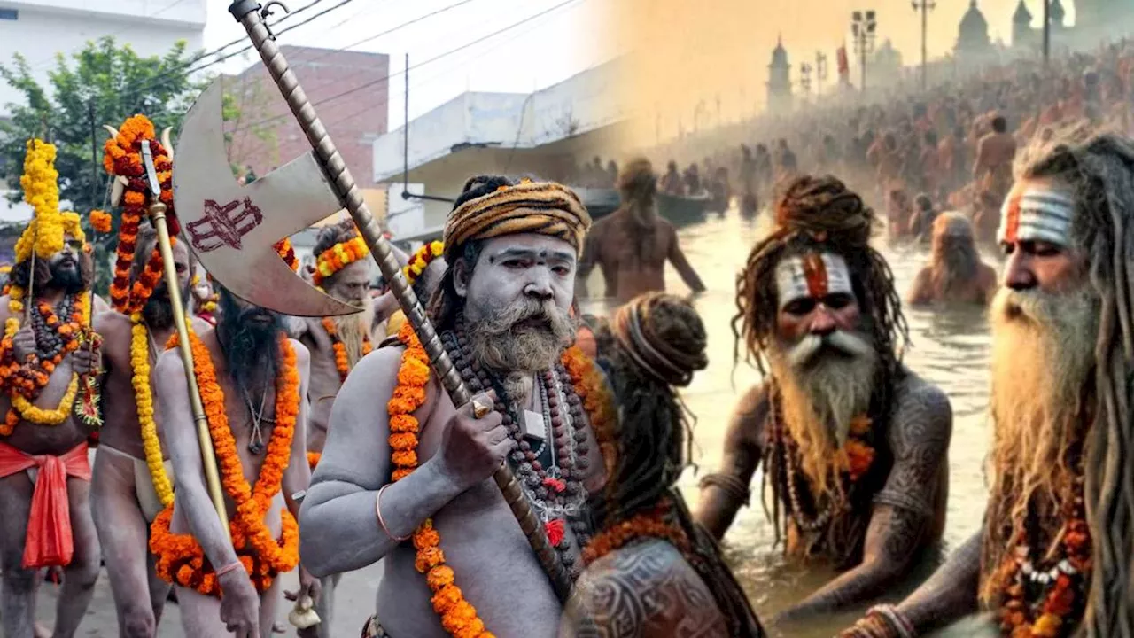 Naga Sadhu: Maha Kumbh में भस्म का महत्व