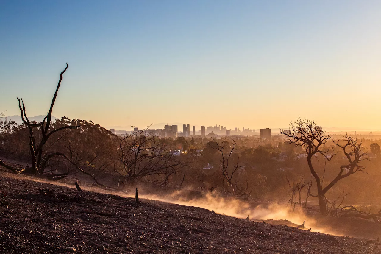 California's Fire-Prone Areas May Become Too Costly To Live In