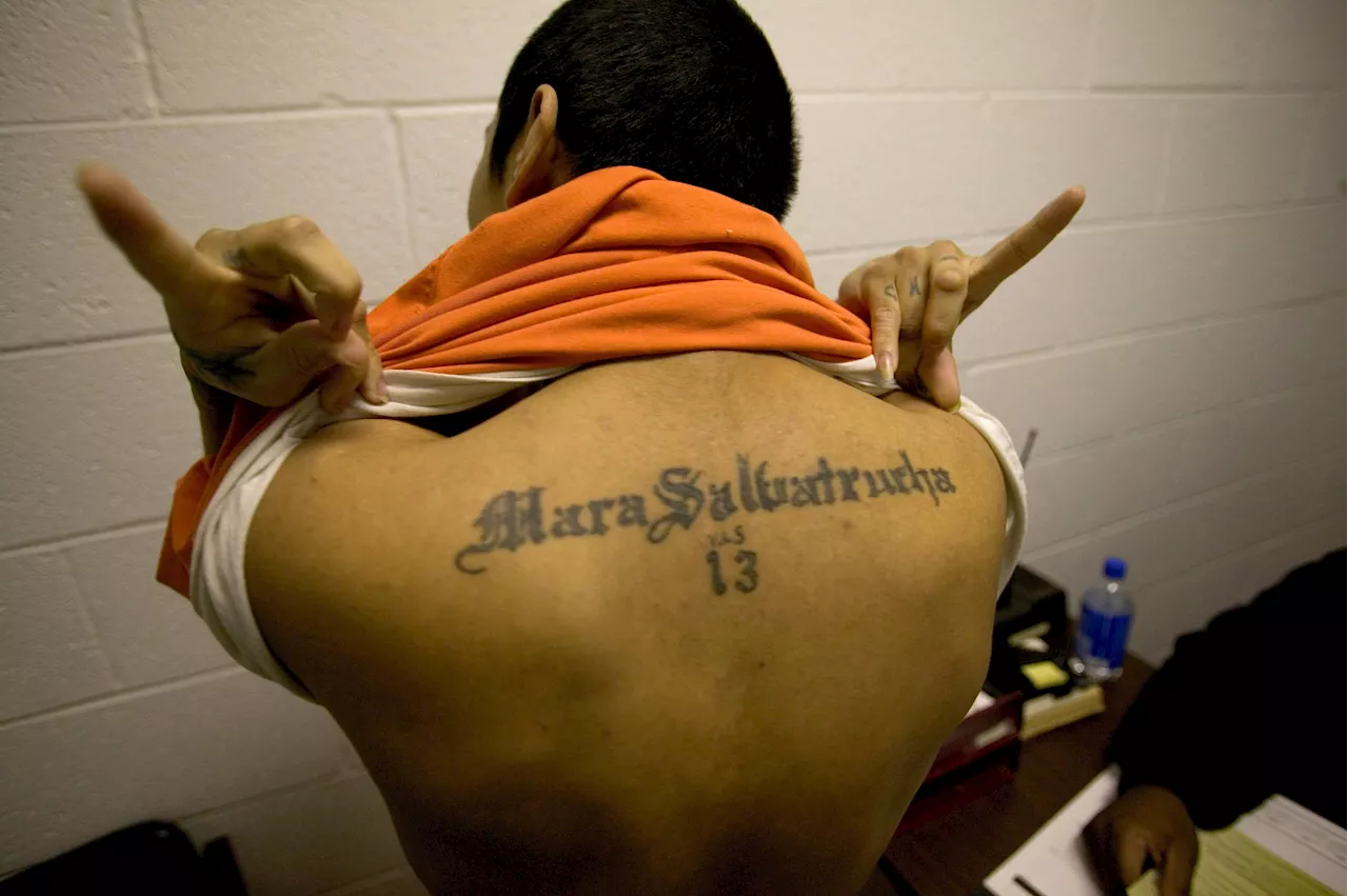 MS-13 Gang Leaders Face Decades Behind Bars for Suburban NYC Murder Spree