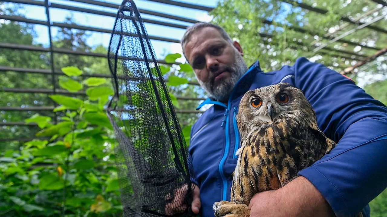 Sachsen-Anhalt: Wieder Leben im Wildpark Weißewarte?