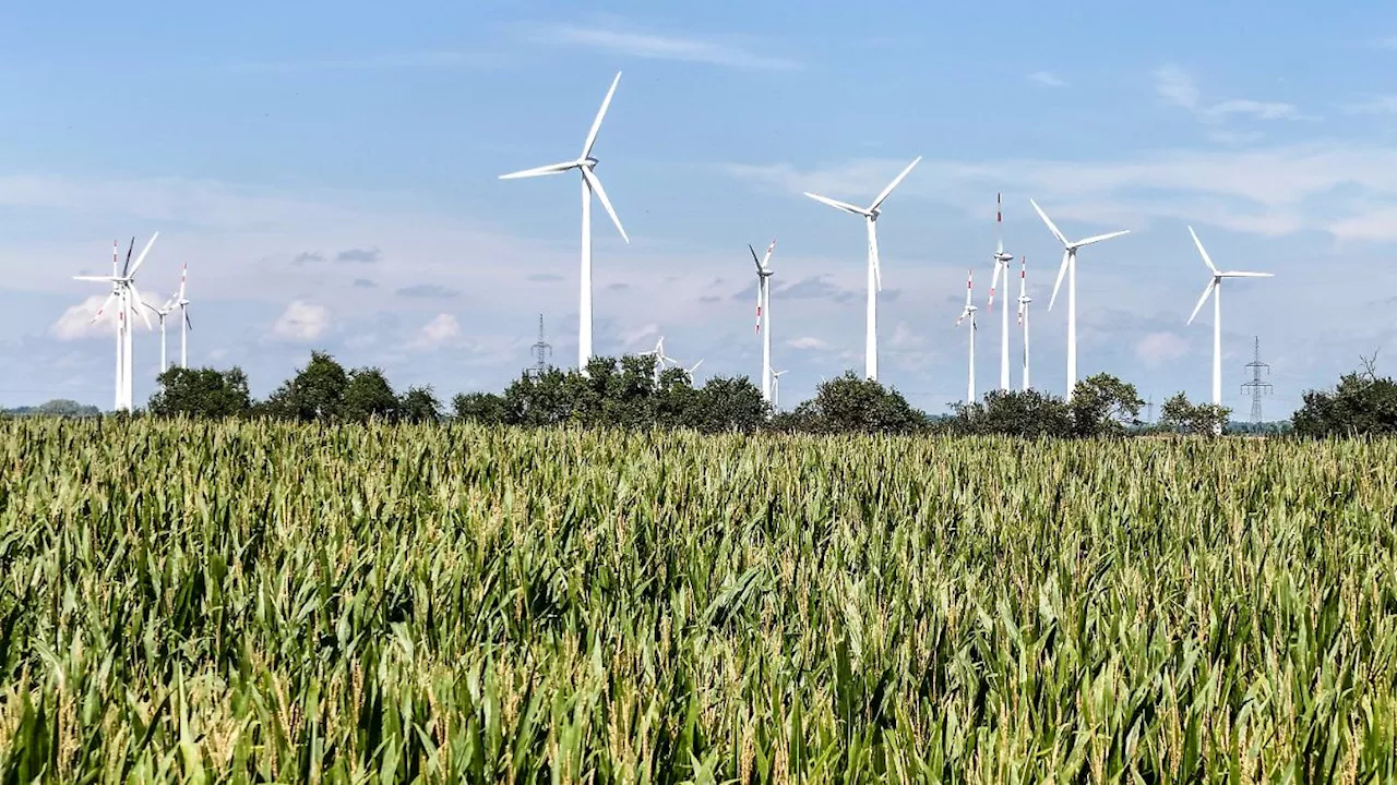 Weidel-Vorstoß im Realitätscheck: 'Windmühlen der Schande niederreißen'